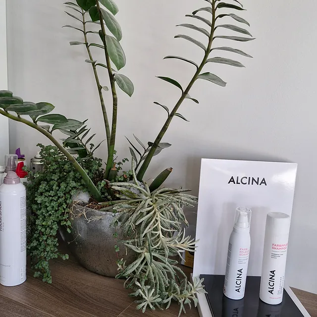 Ein Tisch im Friseursalon zeigt eine Pflanze und diverse Flaschen mit Haarpflegeprodukten.